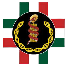 logo emgs